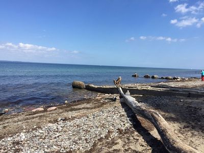 strand-mit-strandgut.jpg